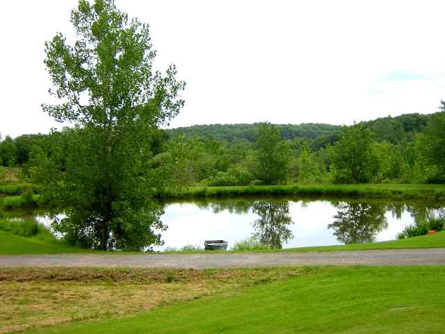 243 County Rte 359 Rensselaerville, NY 12147 - Photo 7 of 7 Photo 7