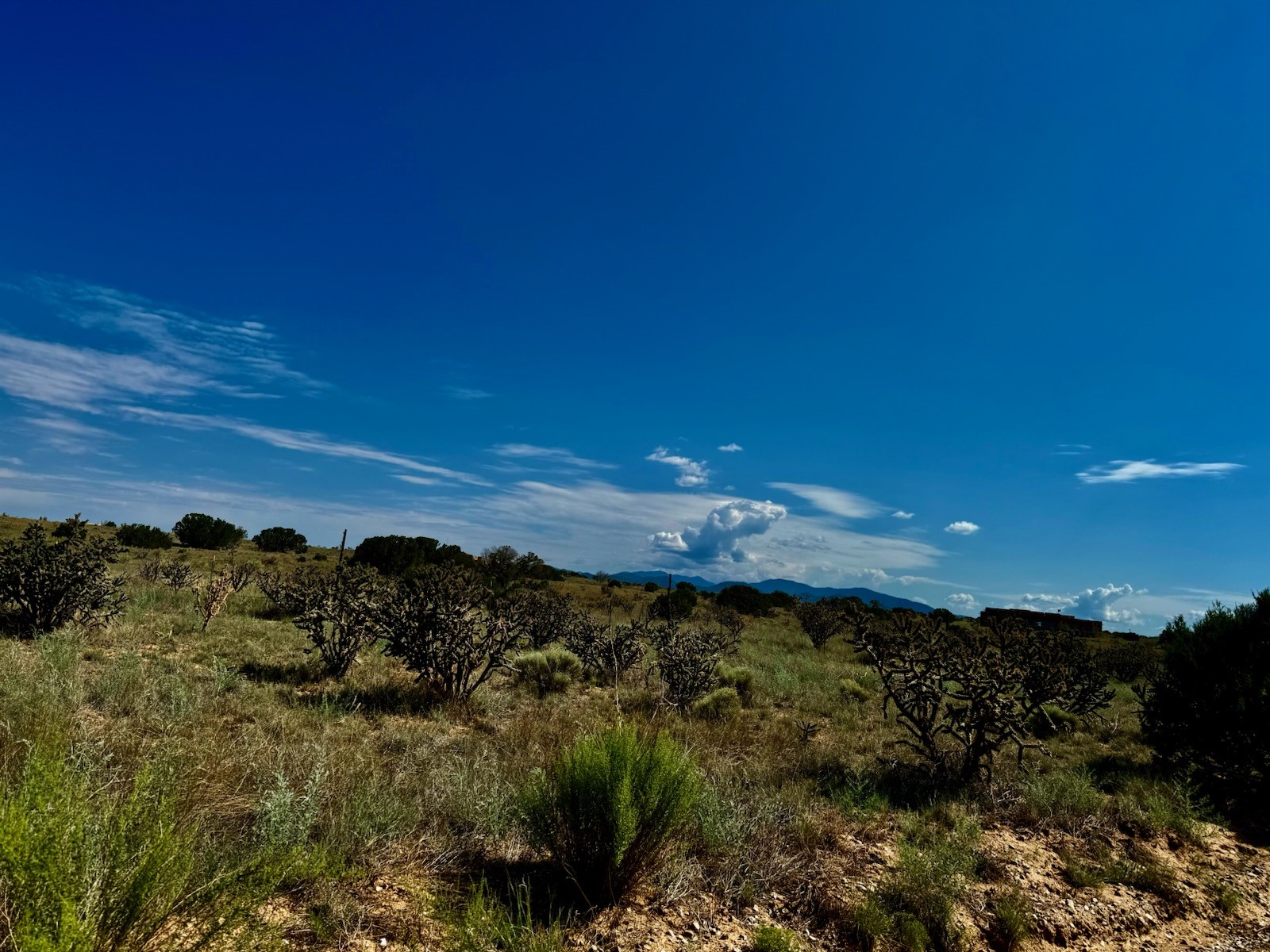 251 Spur Ranch Road Lamy, NM 87540 - Photo 4 of 4