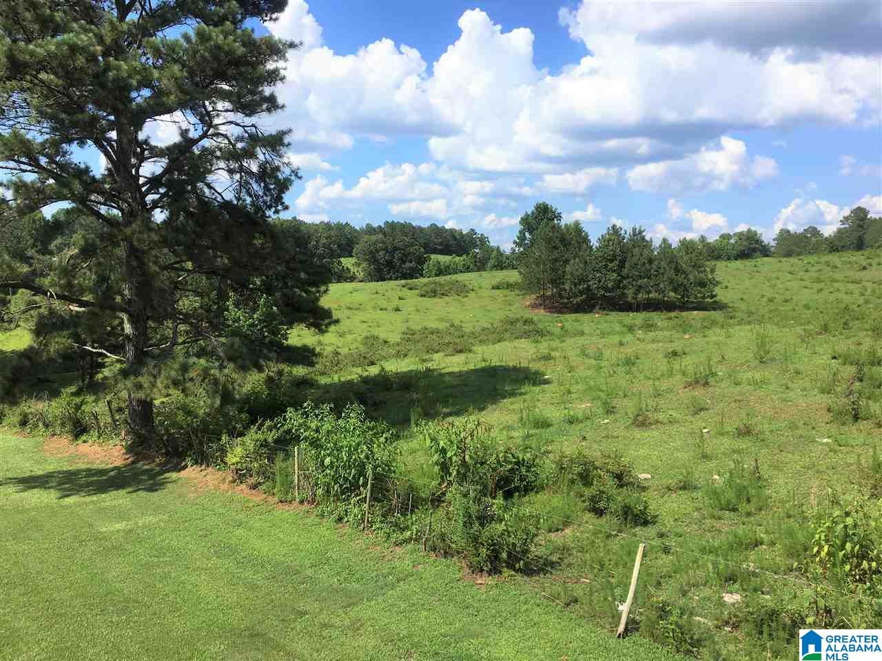 289 County Road 445 Heflin, AL 36264 - Photo 9 of 48