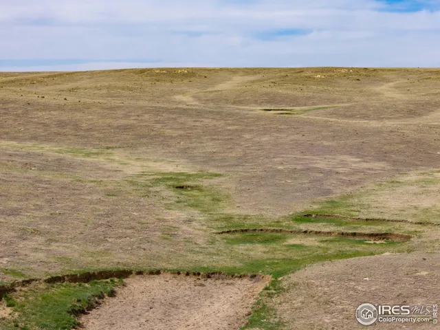 a view of beach and ocean