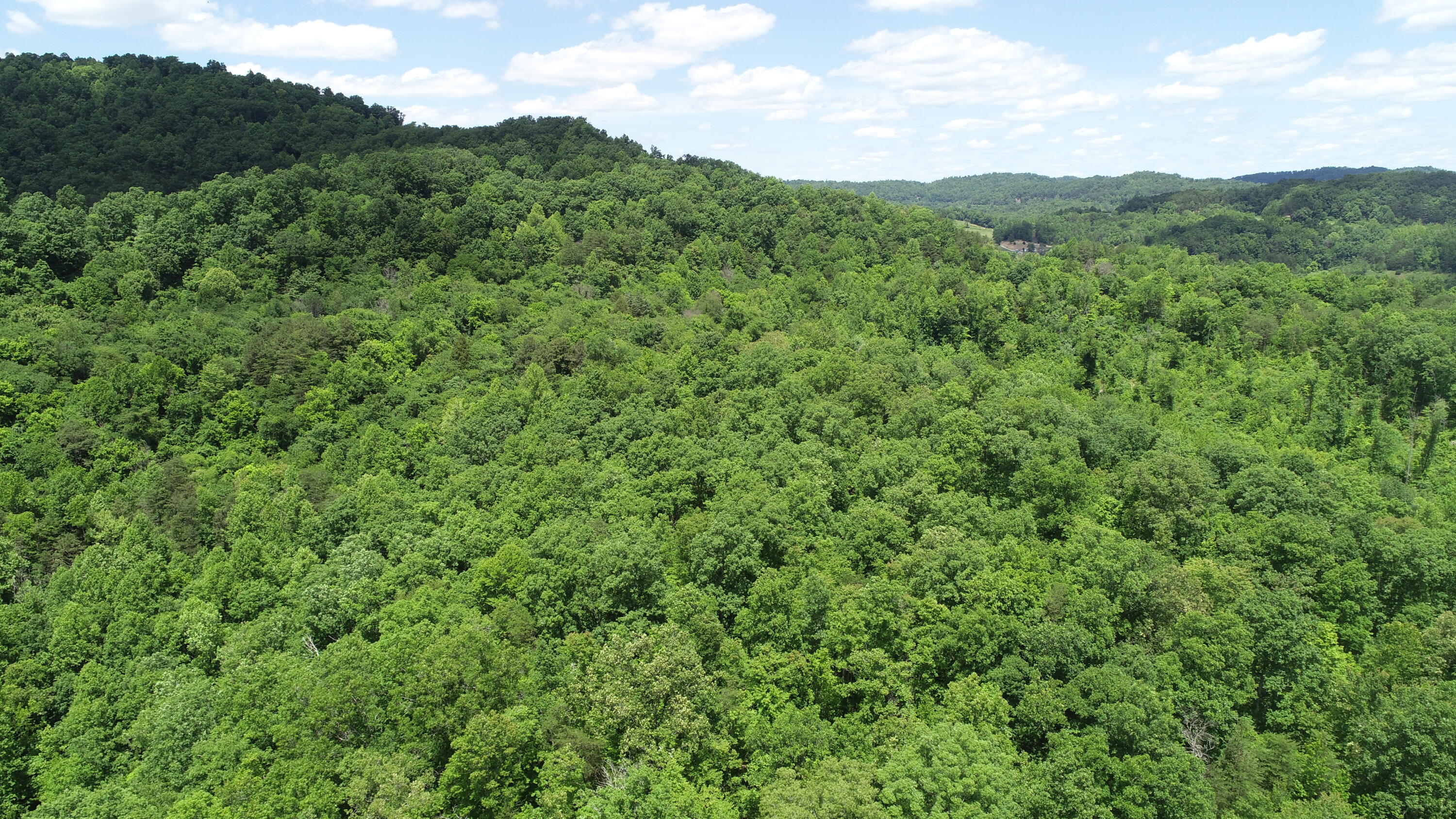 0 Sutton Mill Road Williamsburg, KY 40769 - Photo 21 of 23 DJI_0659