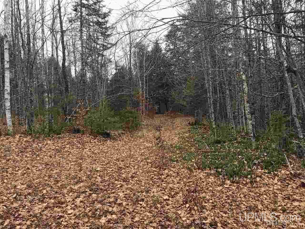 Tbd Off River Road, Unit 2 Hermansville, MI 49847 - Photo 30 of 34