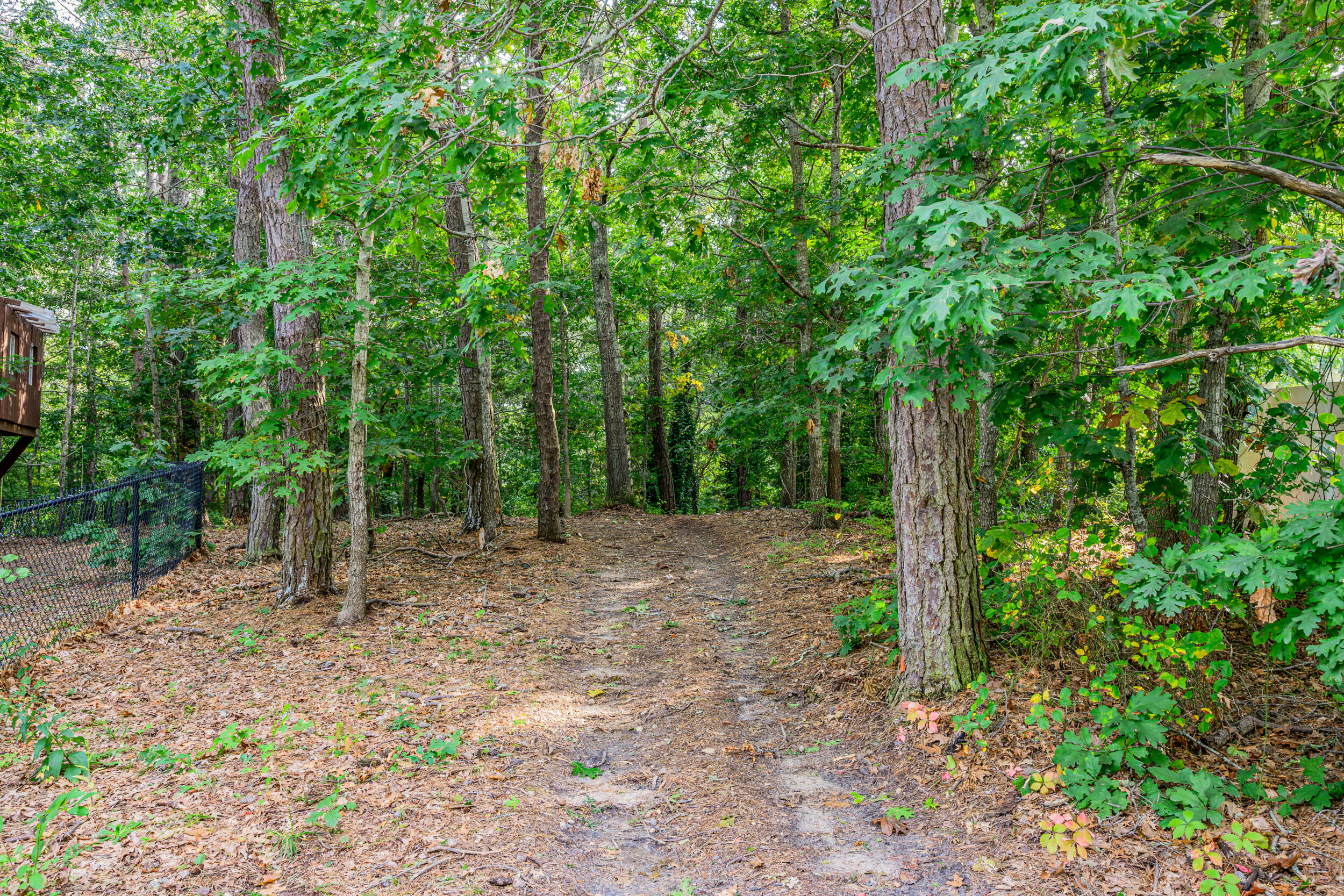 53 Kettle Hole Road West Barnstable, MA 02668 - Photo 41 of 61 62_dsc_6351