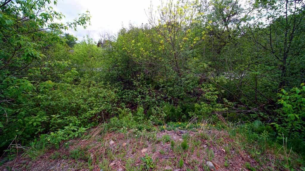 22 Porter Settlement Road Houlton, ME 04730 - Photo 10 of 17 cary-mills-me-9