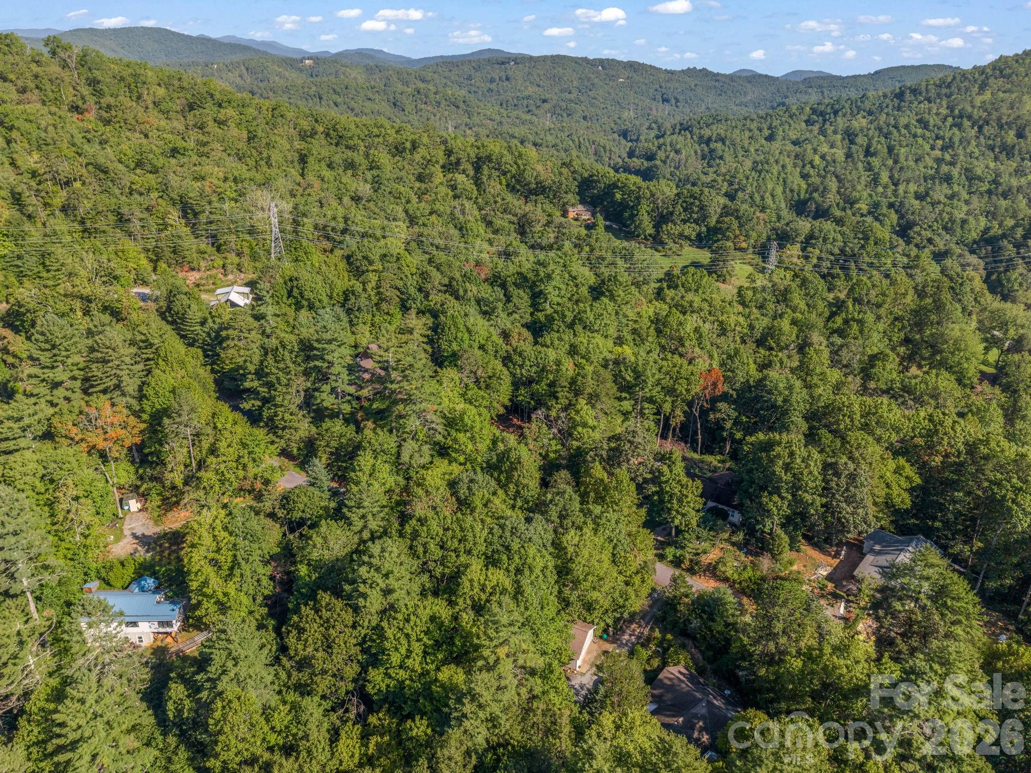 130 Summit Rise Road Pisgah Forest, NC 28768 - Photo 22 of 30 Gallery Image 22