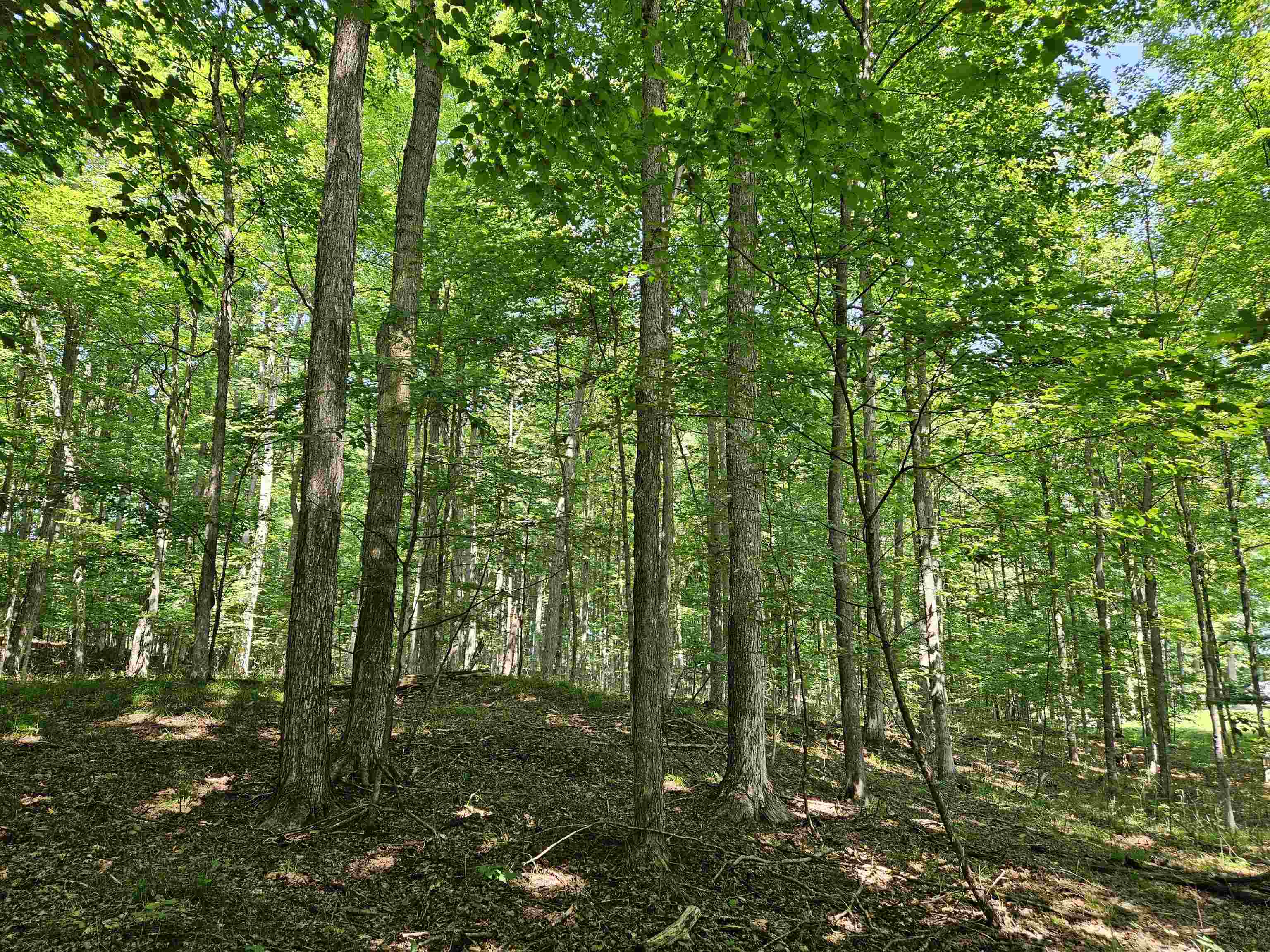 Tbd Tbd Willsey Road Traverse City, MI 49696 - Photo 4 of 22