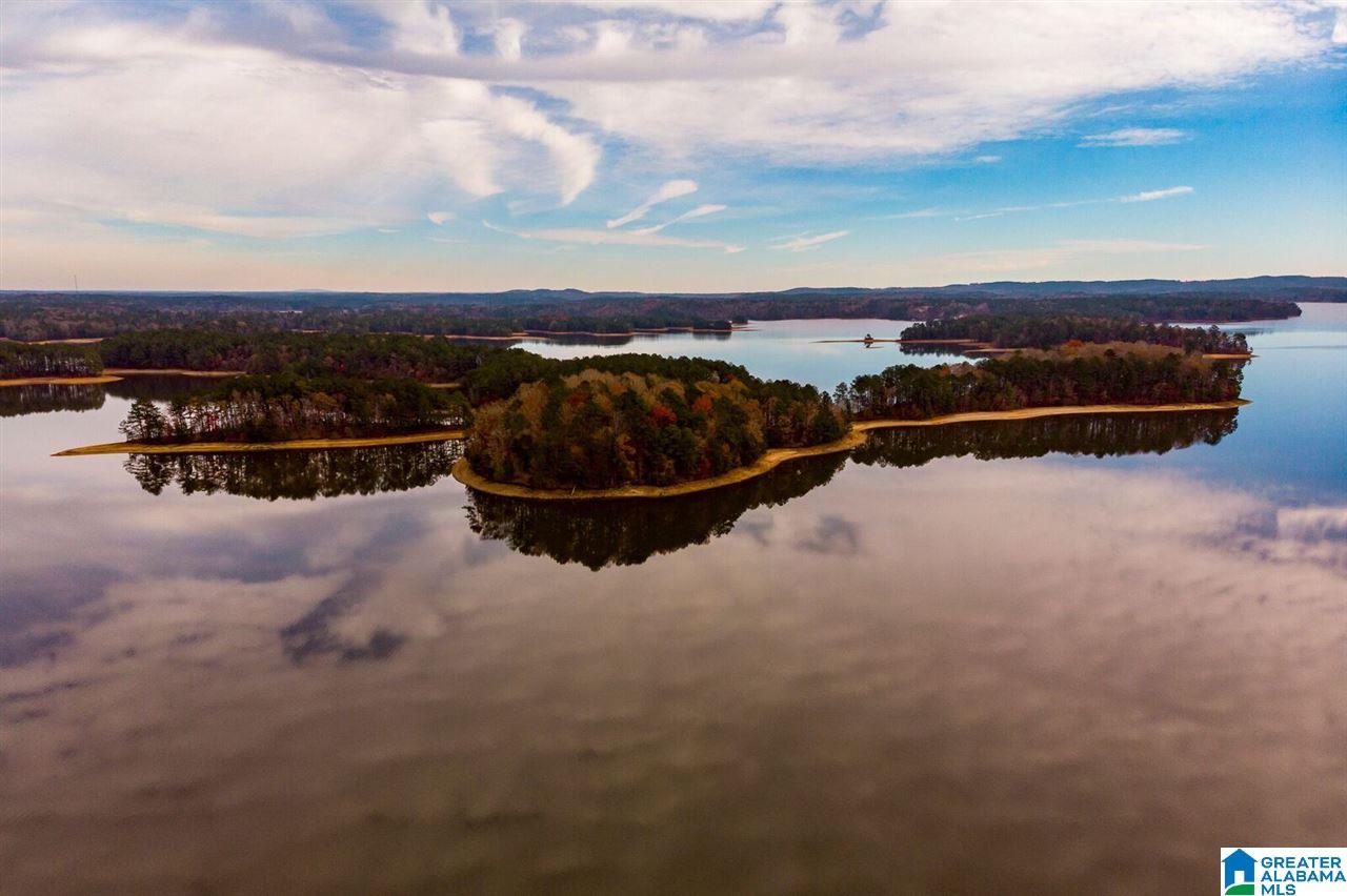 Lot # Fox Creek Trace, Unit 9 Lineville, AL 36266 - Photo 9 of 18