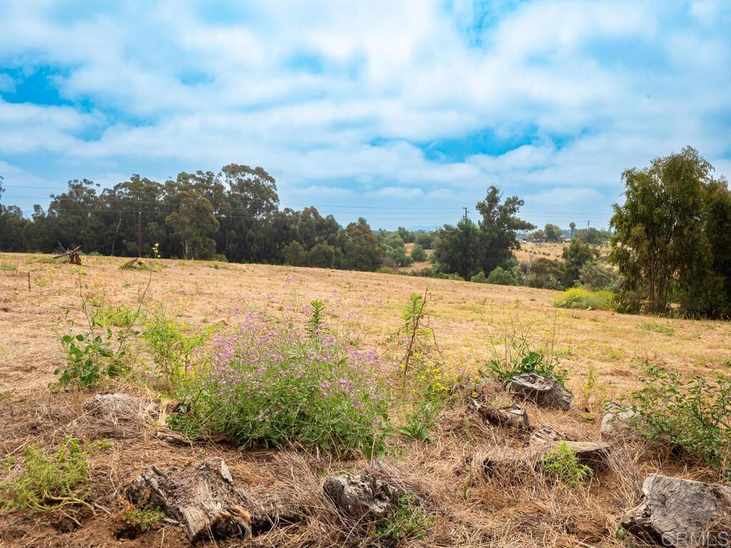 0 McDonald Road Fallbrook, CA 92028 - Photo 14 of 37