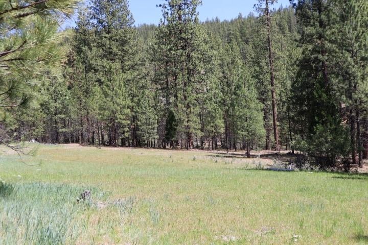 0 Masterson Road Gazelle, CA 96034 - Photo 3 of 26 Gallery Image 3