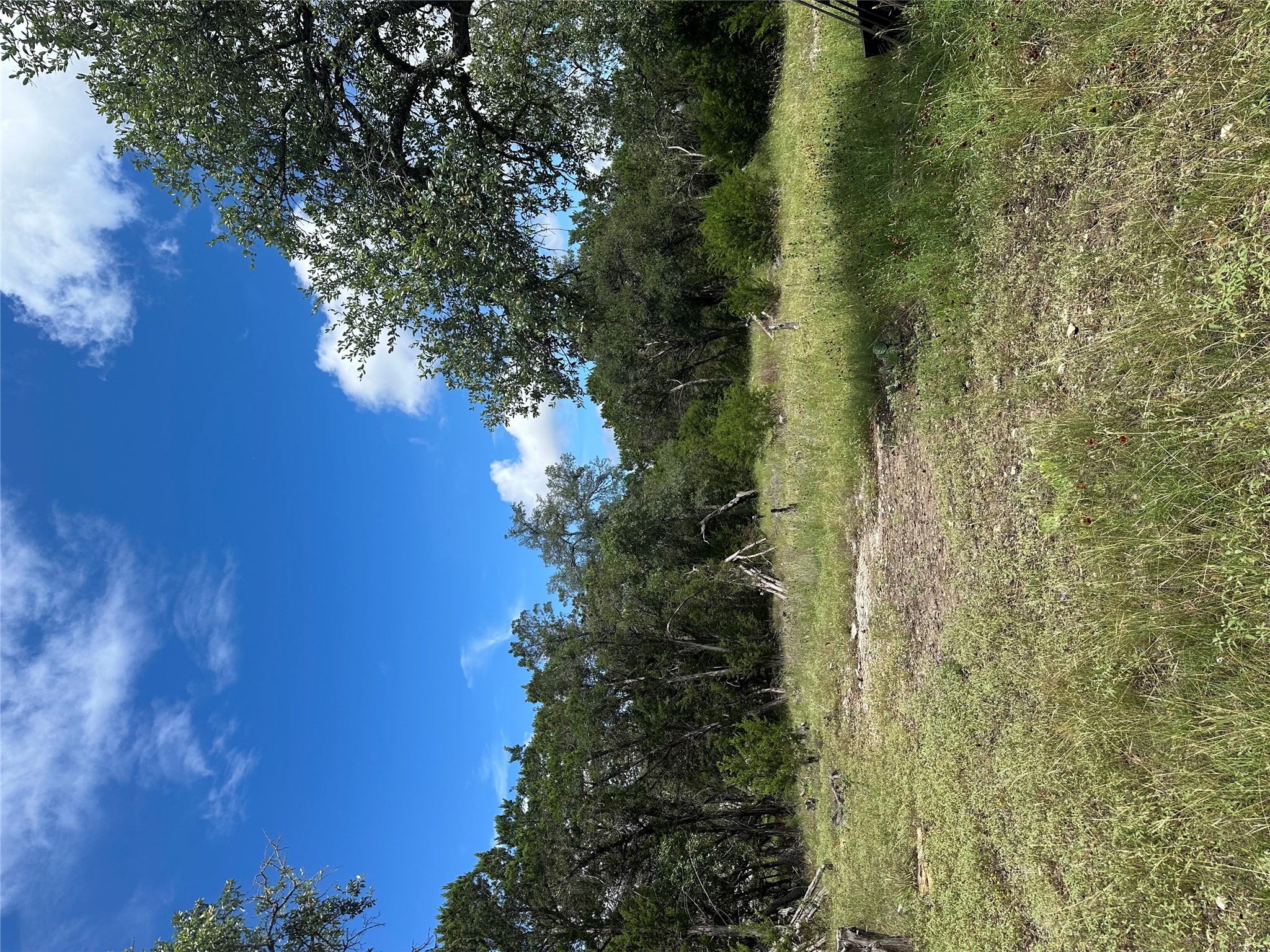 0 Lantana Gold Spring Branch, TX 78070 - Photo 10 of 15 Vast natural landscaping provides a secluded, verdant setting for your future estate.