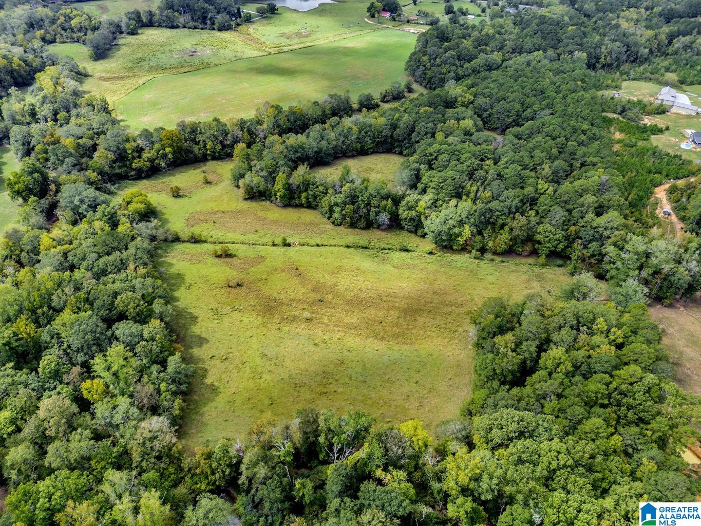 44 Nunnally Lake Road Ohatchee, AL 36271 - Photo 21 of 90