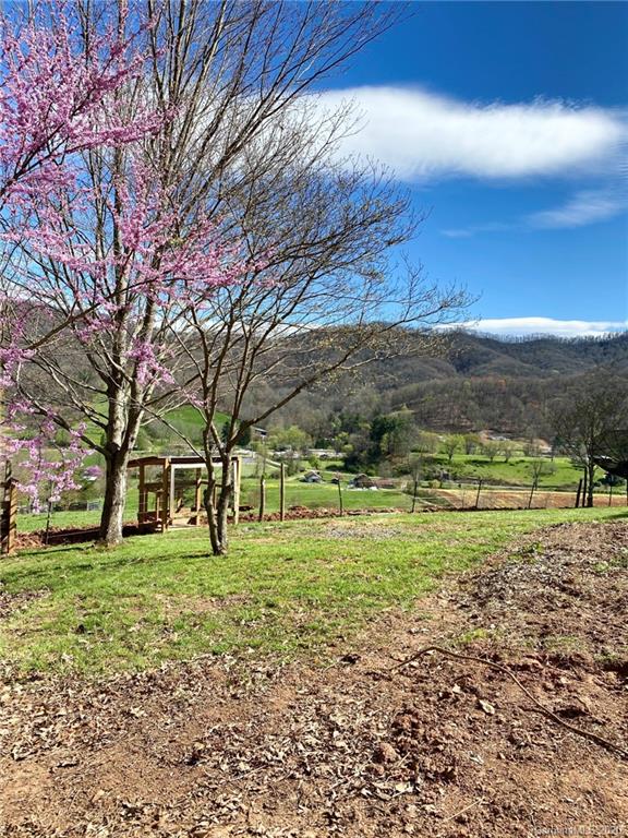 27 Morgan Branch Road Leicester, NC 28748 - Photo 34 of 39 a big yard with lots of green space