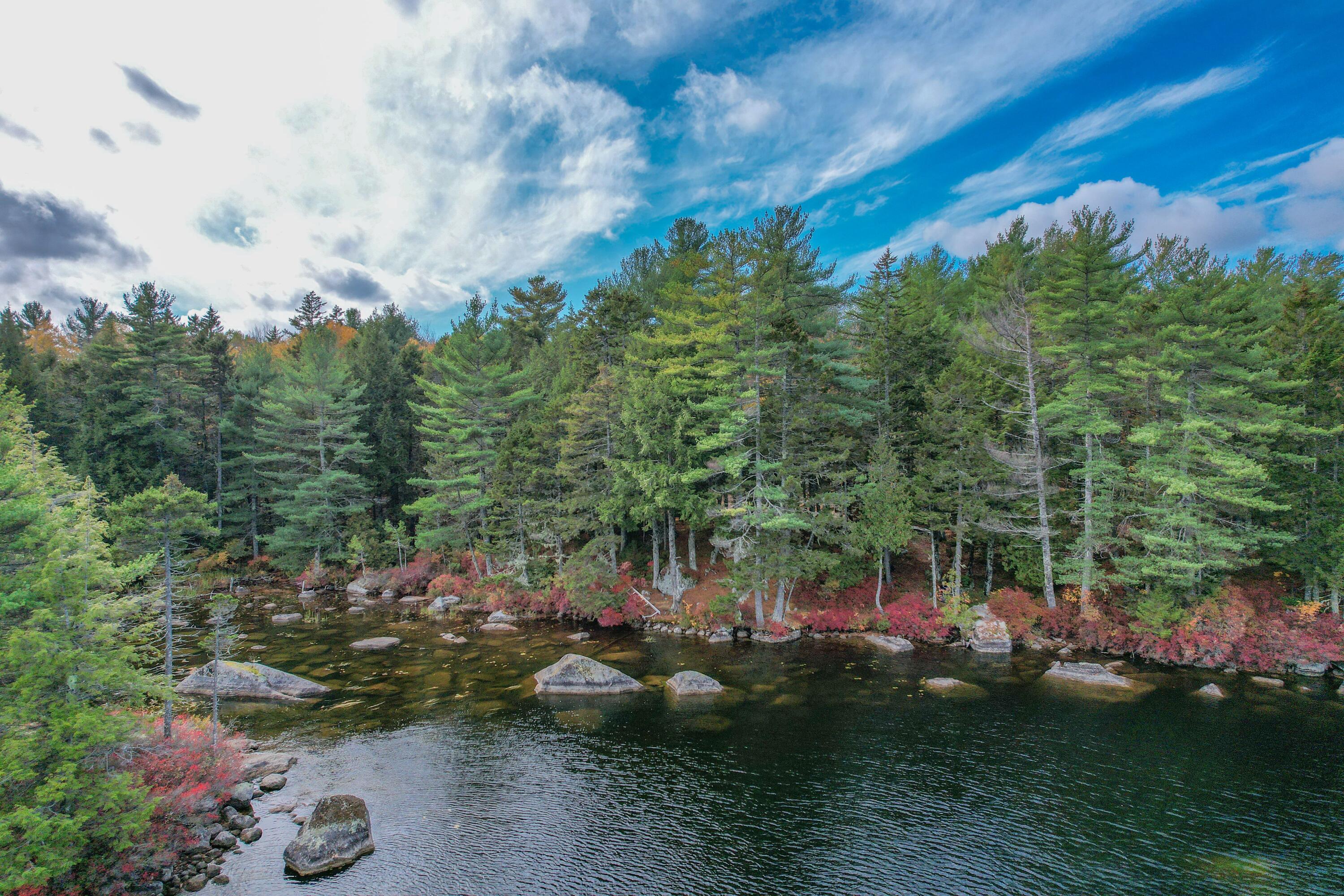 155 Long Point Way Orland, ME 04472 - Photo 46 of 65 DJI_0502