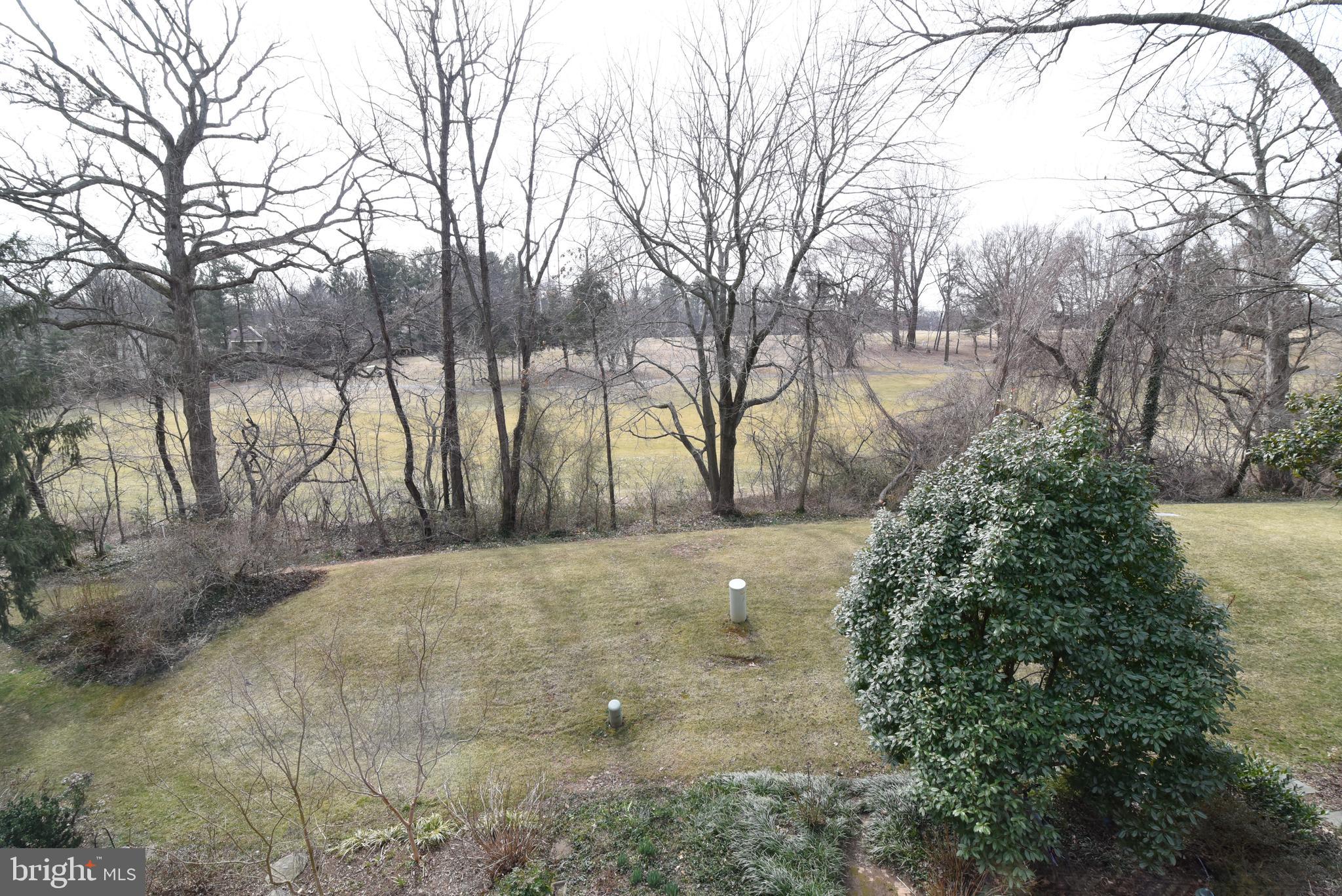 11749 Indian Ridge Road Reston, VA 20191 - Photo 26 of 53 a view of backyard and trees