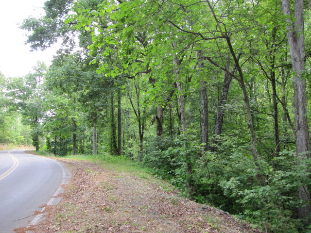 14.1-ac Reed Pond Road Northwest, Unit 17 Dalton, GA 30720 - Photo 1 of 1 Main View