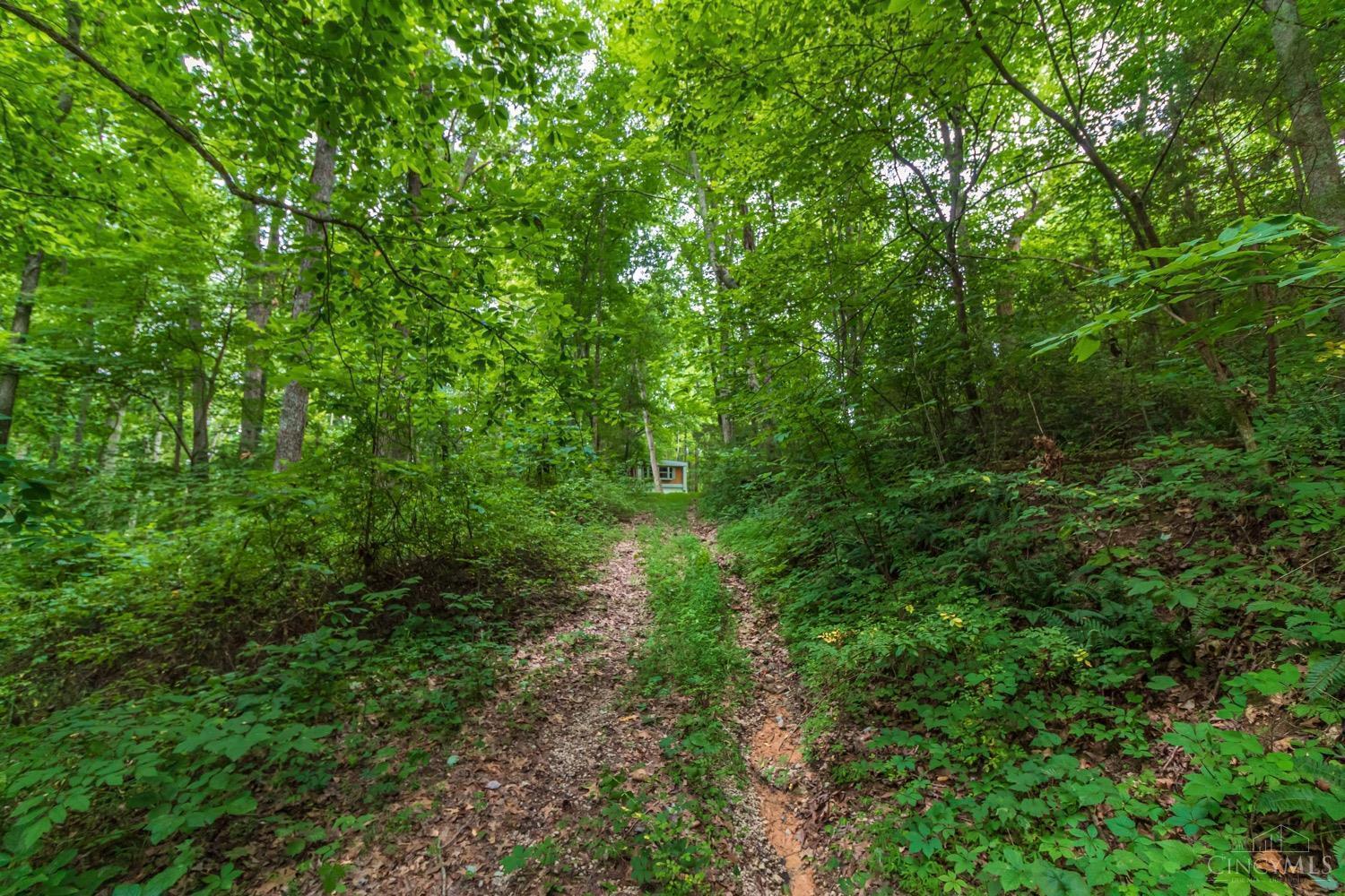 1031 Davis Road Peebles, OH 45660 - Photo 10 of 50