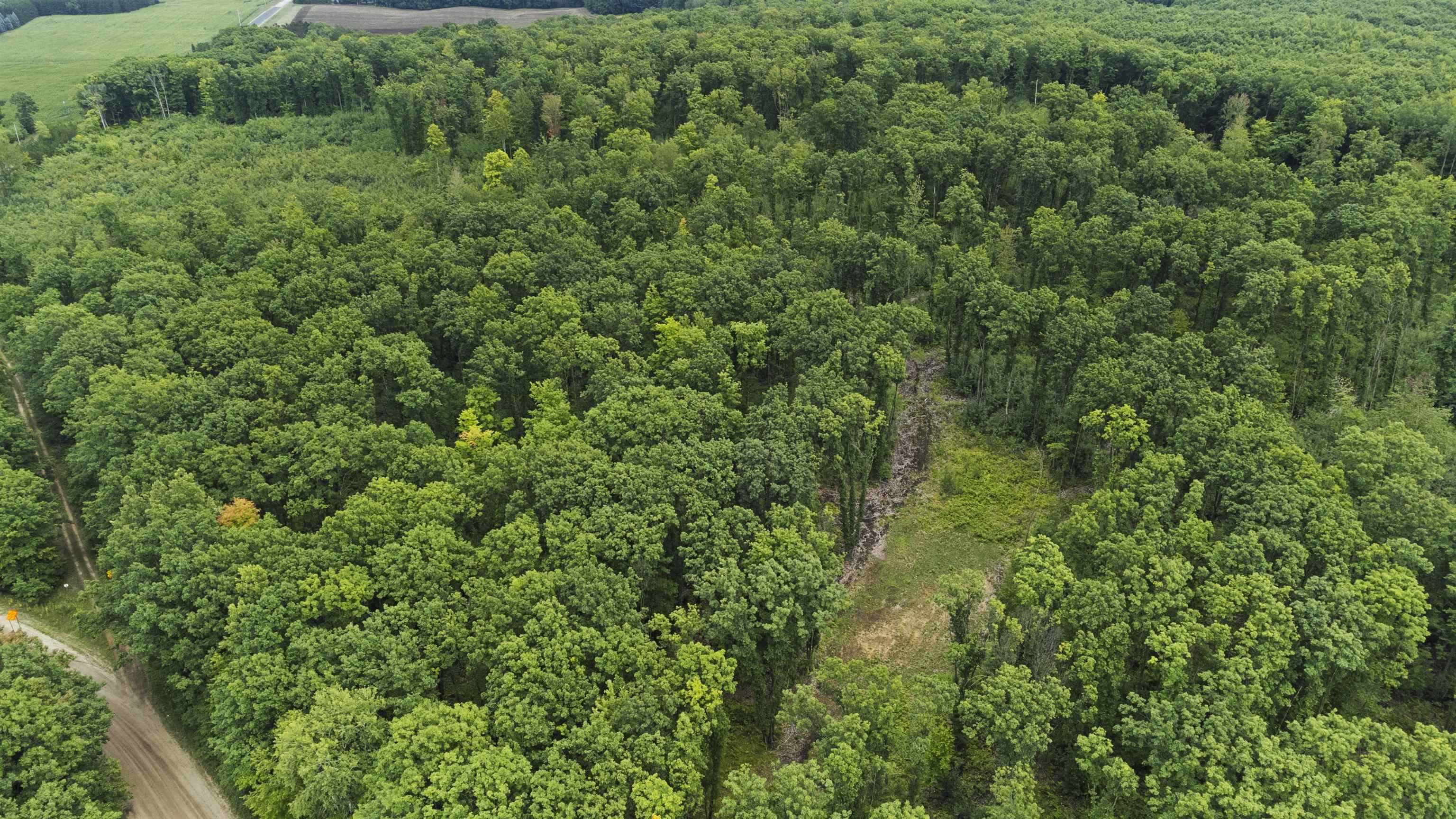 8830 Wiitala Road Copemish, MI 49625 - Photo 62 of 73