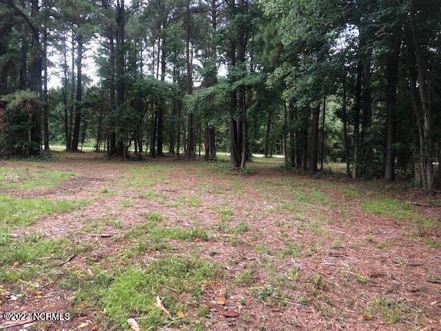 215 Hickory Point Road Aurora, NC 27806 - Photo 5 of 38 20210726170713804610000000-o