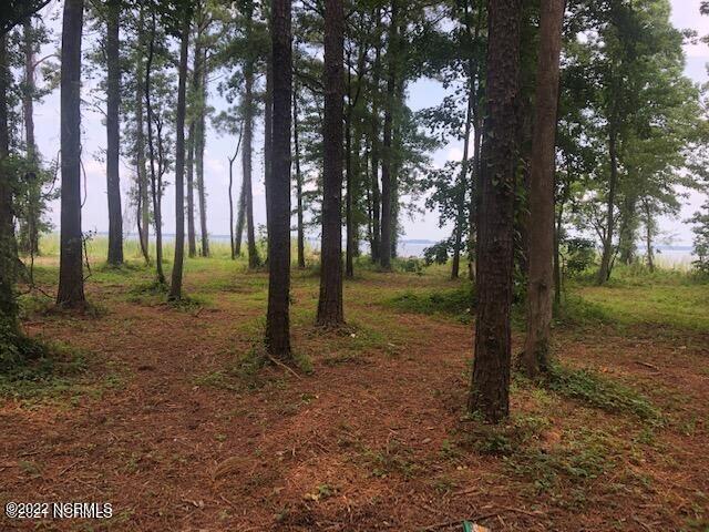 215 Hickory Point Road Aurora, NC 27806 - Photo 6 of 38 20210726170714699151000000-o