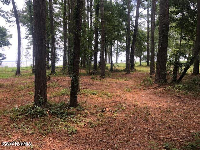 215 Hickory Point Road Aurora, NC 27806 - Photo 7 of 38 20210726170715424932000000-o