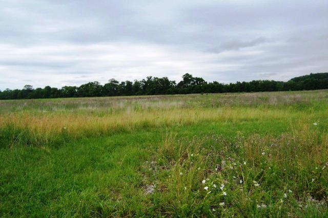 0 Lytle Road Centerburg, OH 43011 - Photo 2 of 2
