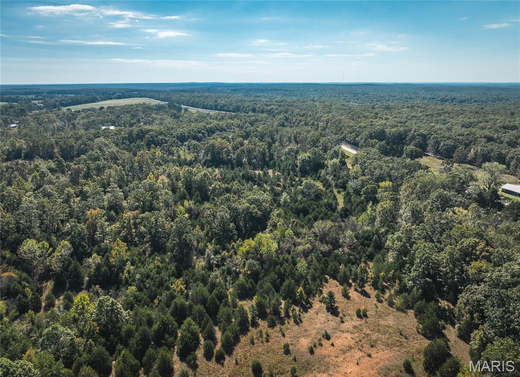 Lot 1 State Rte J Newburg, MO 65550 - Photo 6 of 8