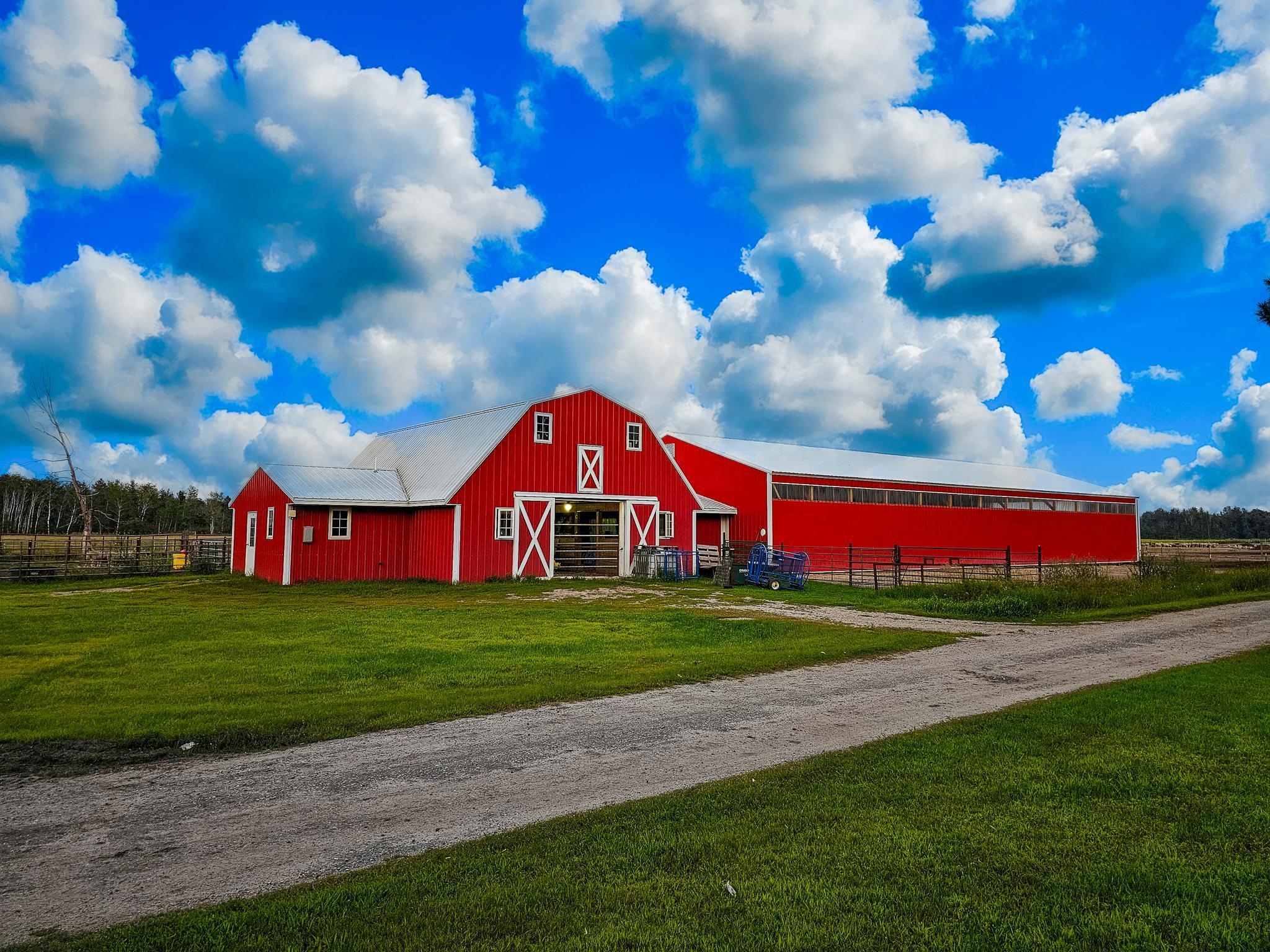 17430 280th Street Sebeka, MN 56477 - Photo 31 of 46