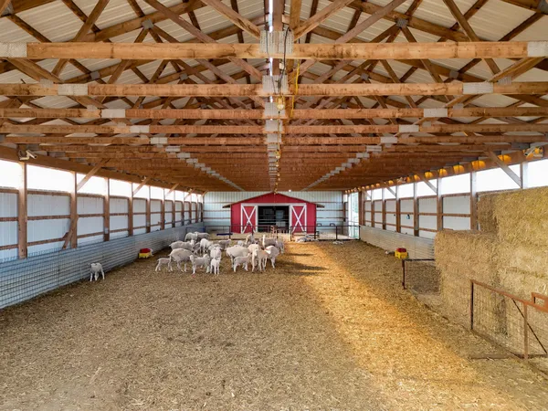 $550,000 | 17430 280th Street, Sebeka, MN 56477