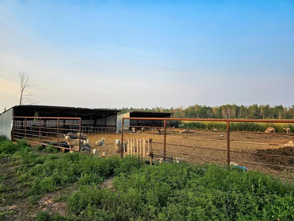 $550,000 | 17430 280th Street, Sebeka, MN 56477