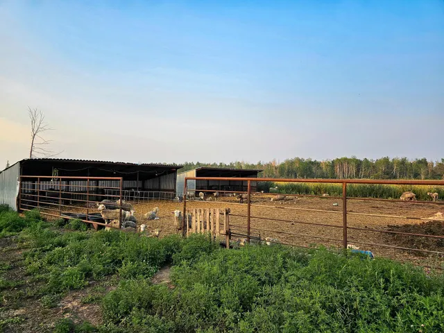 $550,000 | 17430 280th Street, Sebeka, MN 56477