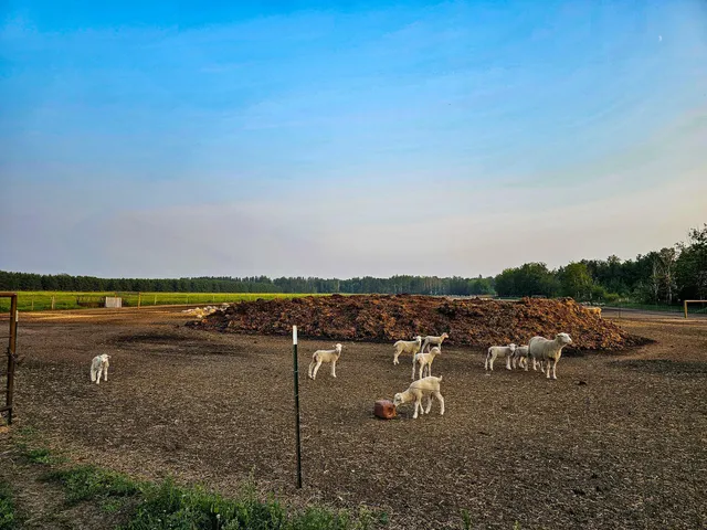 $550,000 | 17430 280th Street, Sebeka, MN 56477