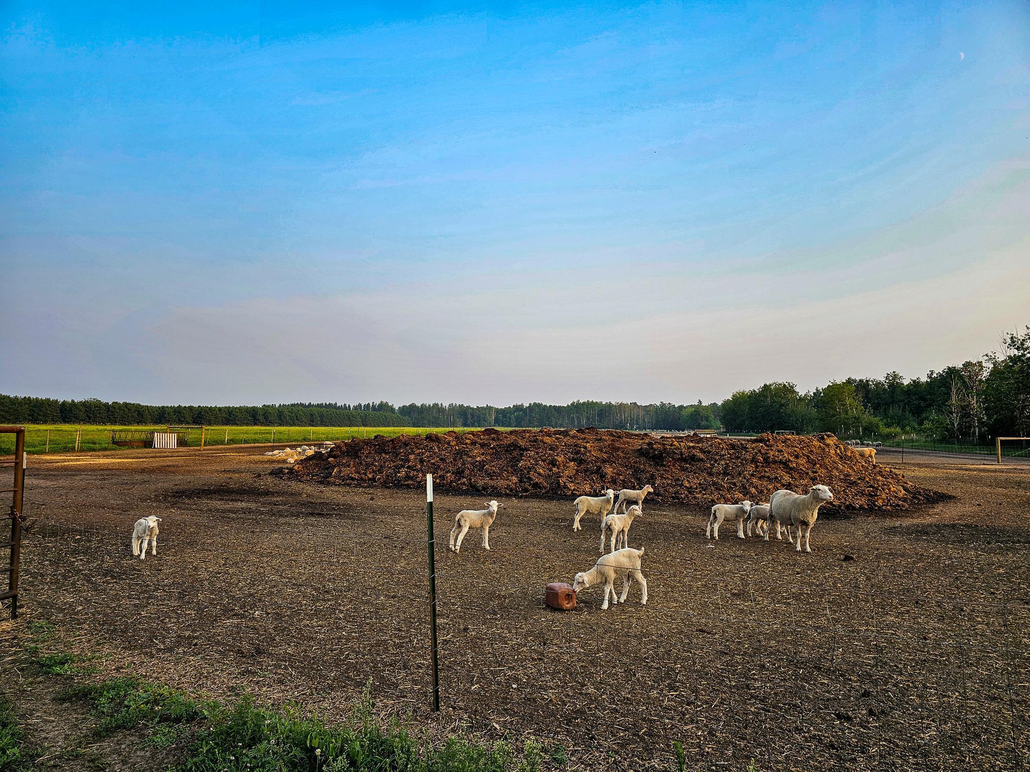 17430 280th Street Sebeka, MN 56477 - Photo 37 of 46