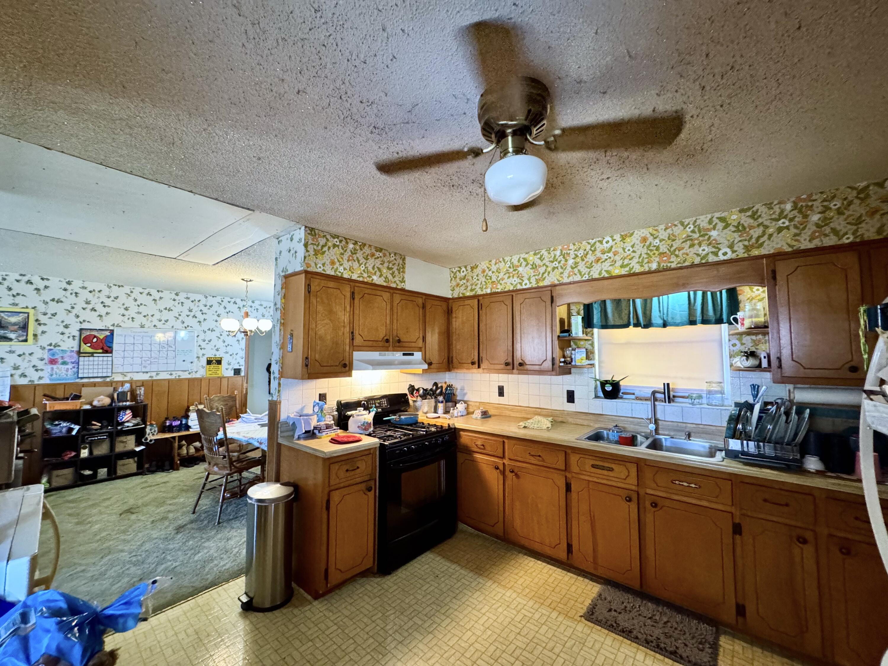 794 Kemmer Road Spring City, TN 37381 - Photo 5 of 16 5- Kitchen 1.5
