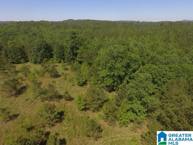 82-acres Creed Road, Unit 82 ACRES Lineville, AL 36266 - Photo 18 of 20