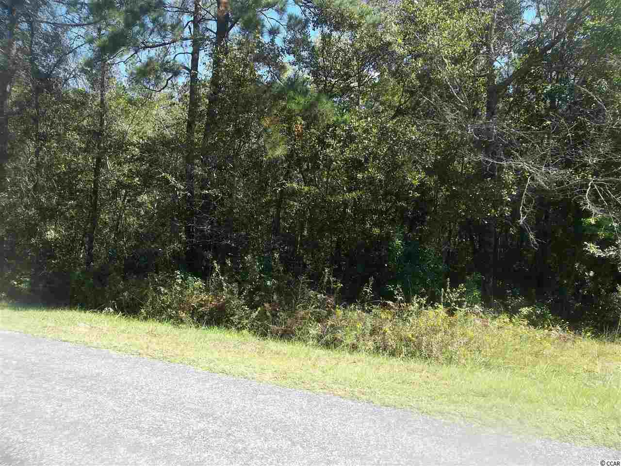 0 Pleasant Union Road Aynor, SC 29511 - Photo 1 of 2 Gallery Image 1