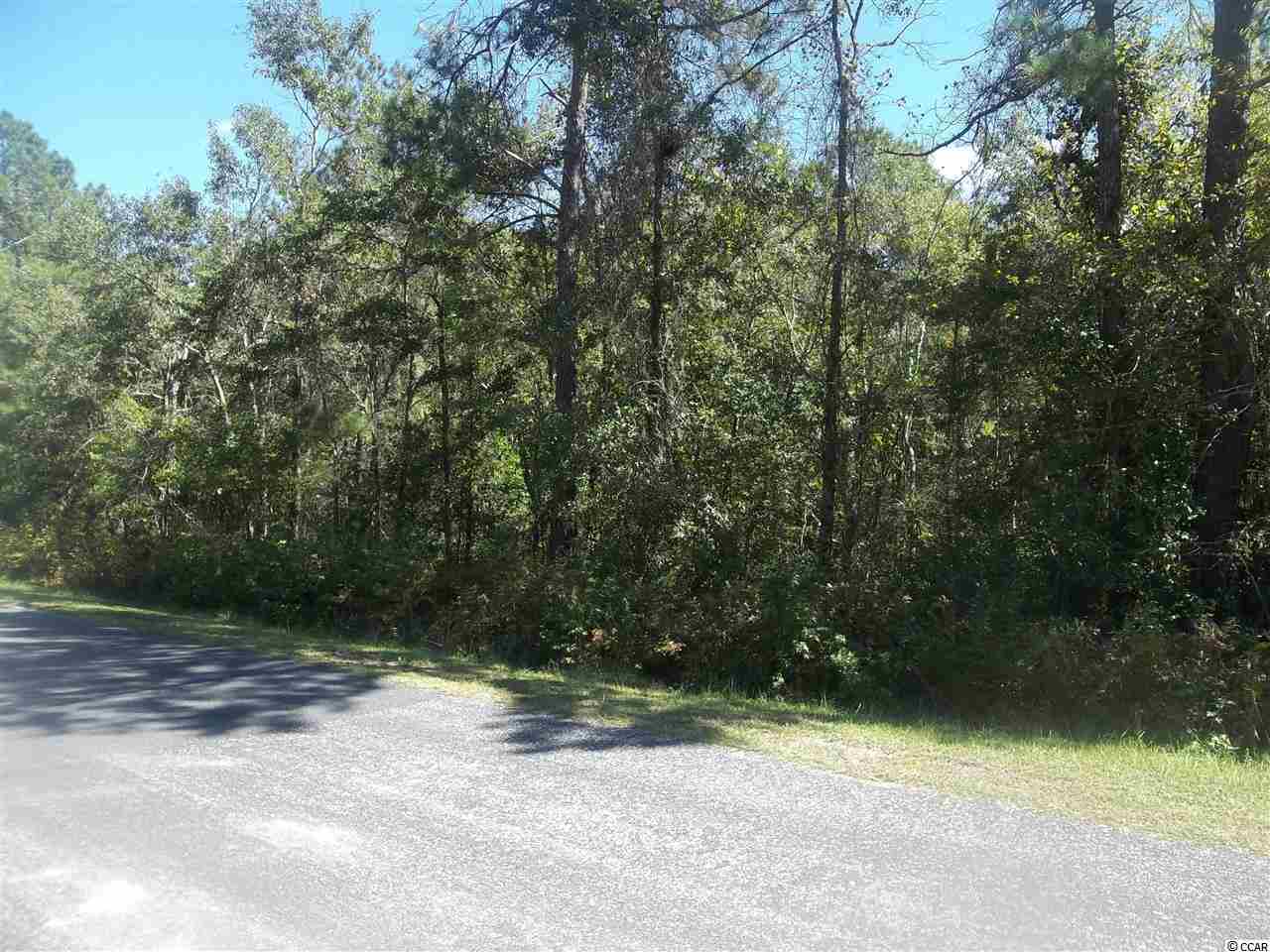 0 Pleasant Union Road Aynor, SC 29511 - Photo 2 of 2 Gallery Image 2