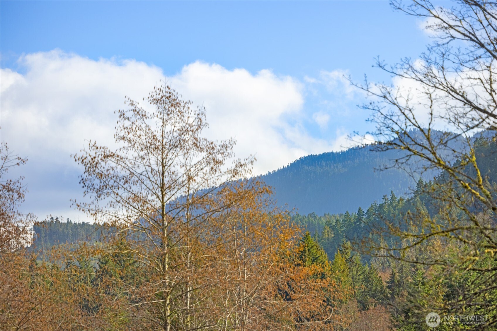 1422 Grauel-Ramapo Road Port Angeles, WA 98363 - Photo 9 of 32