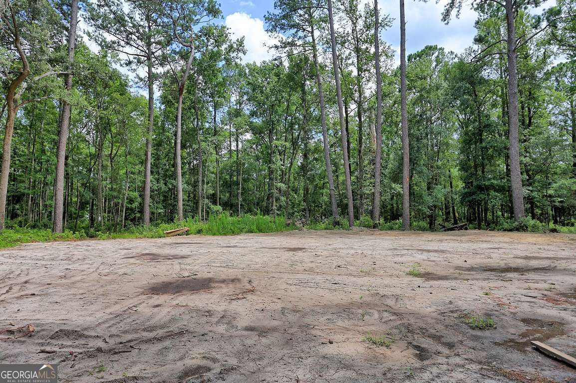 293 Anza Lane Rincon, GA 31326 - Photo 32 of 33
