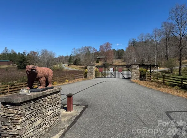 a view of a garden with a lot of flowers