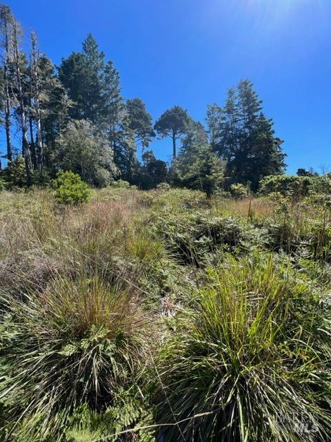 36018 Sea Ridge Road The Sea Ranch, CA 95497 - Photo 13 of 17