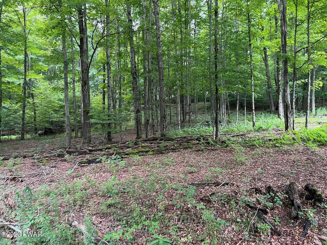 4-5 Secluded Lk Road Newfoundland, PA 18445 - Photo 18 of 22