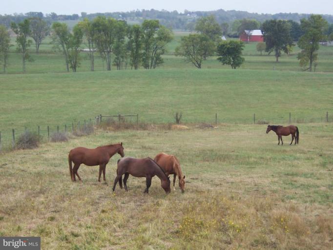745 Old Baltimore Road Winchester, VA 22603 - Photo 2 of 30 Pasture