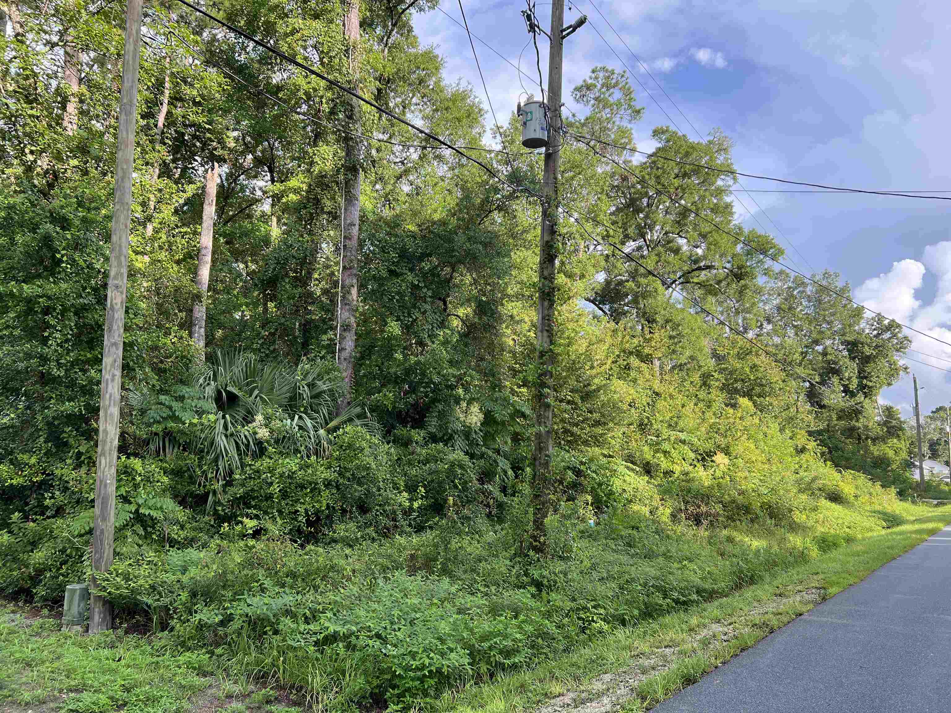 Blackfoot Road Crawfordville, FL 32327 - Photo 1 of 2