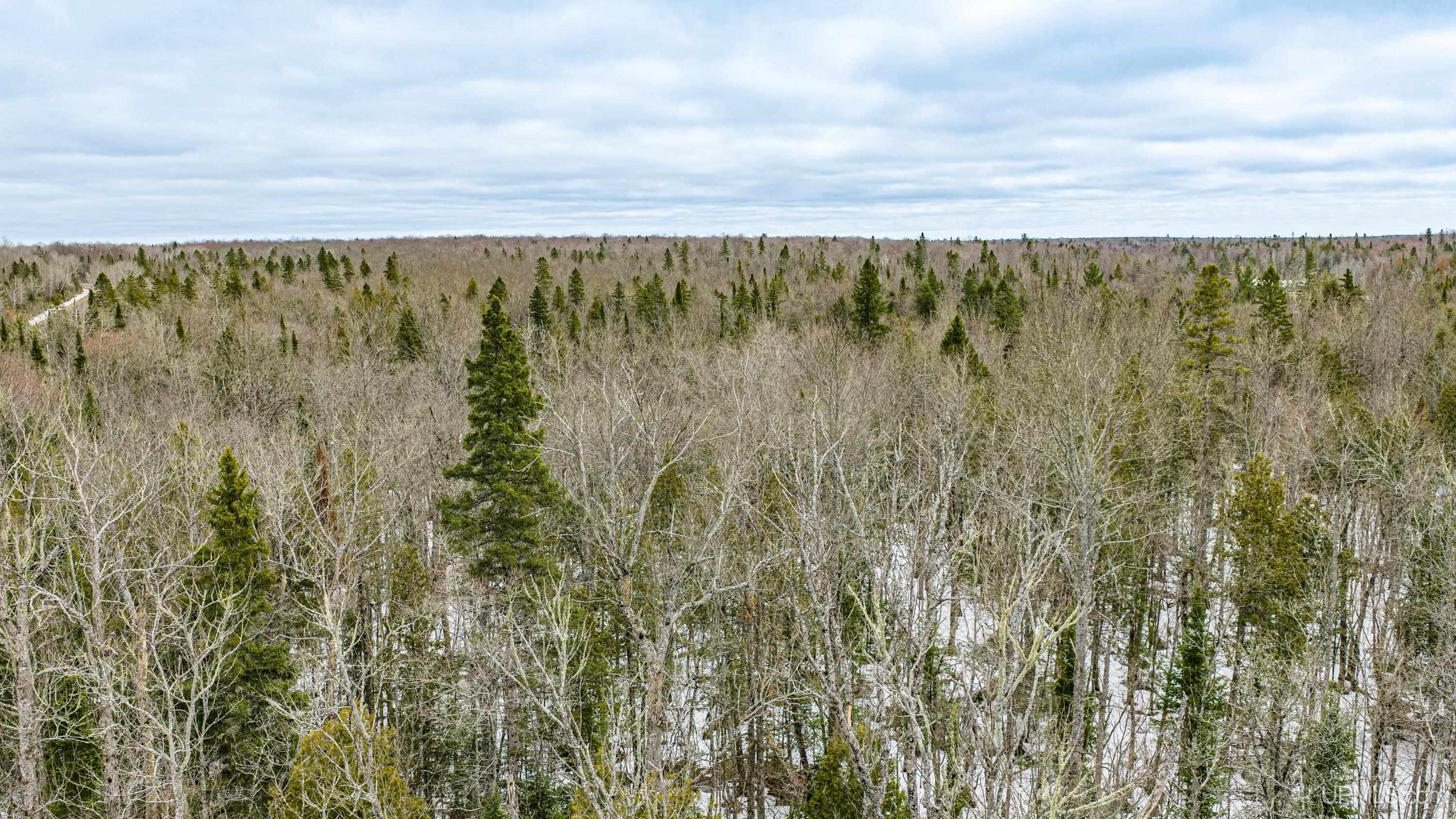 Tbd38 East Shore Road Bergland, MI 49910 - Photo 13 of 39