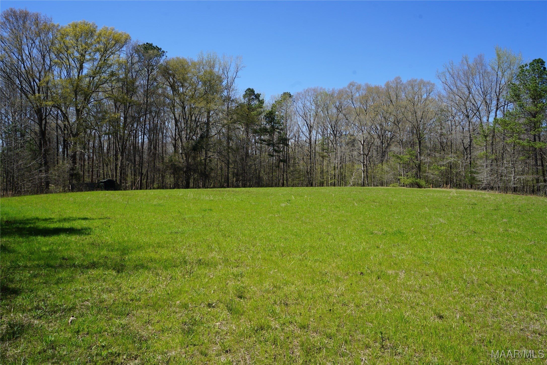 831 Old Barnes Road Mathews, AL 36052 - Photo 9 of 13 Gallery Image 9