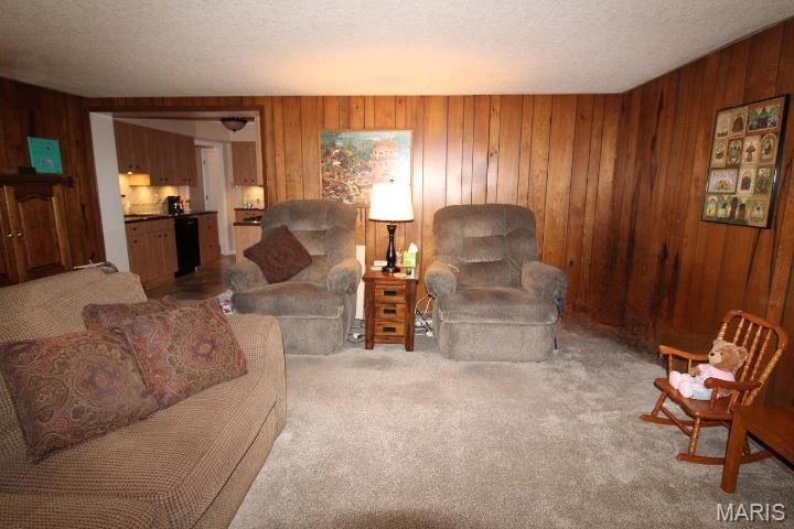 7266 MacKenzie Road St. Louis, MO 63123 - Photo 13 of 23