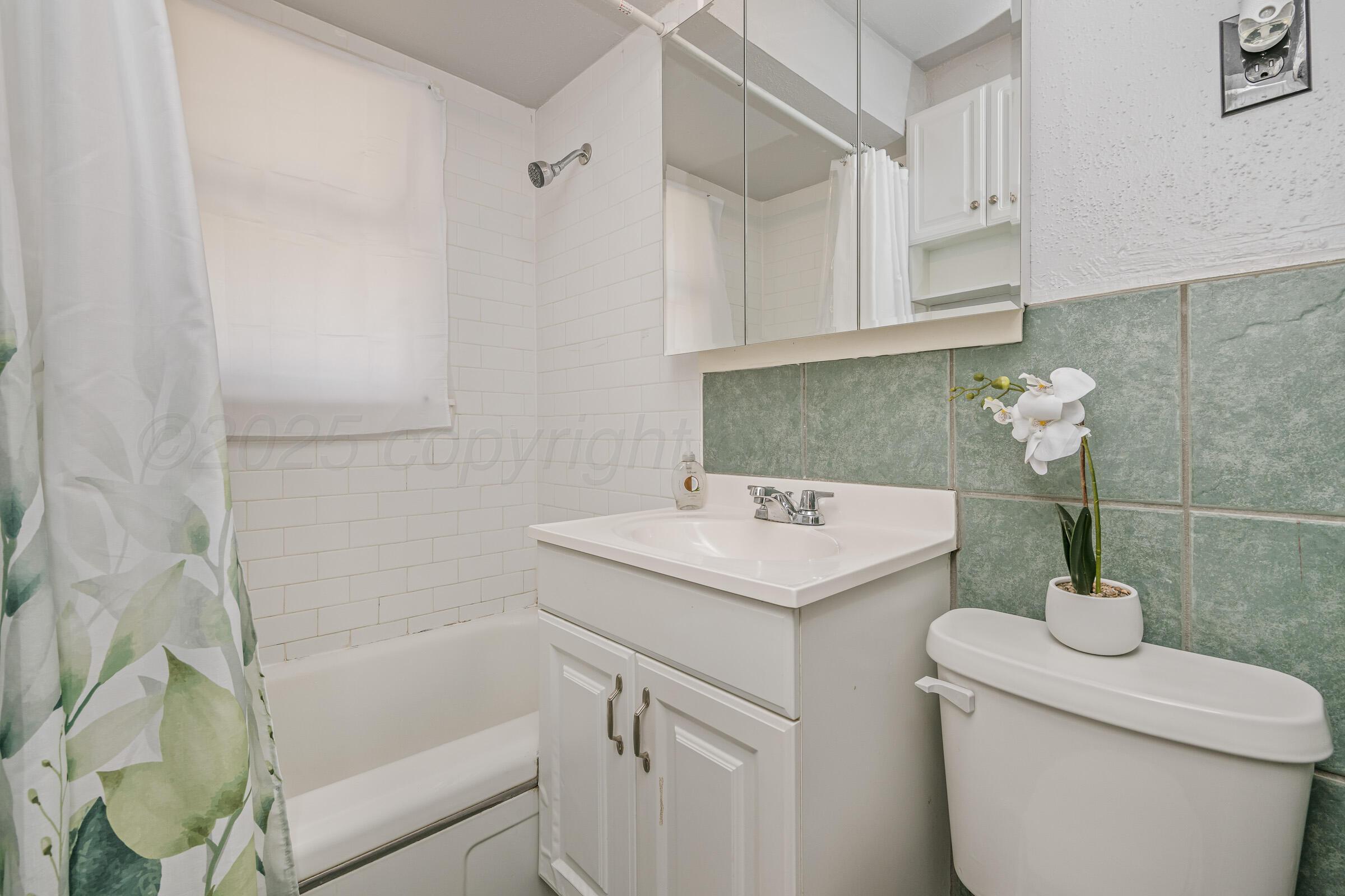 3620 South Hayden Street Amarillo, TX 79110 - Photo 12 of 25 a bathroom with a sink a toilet and shower