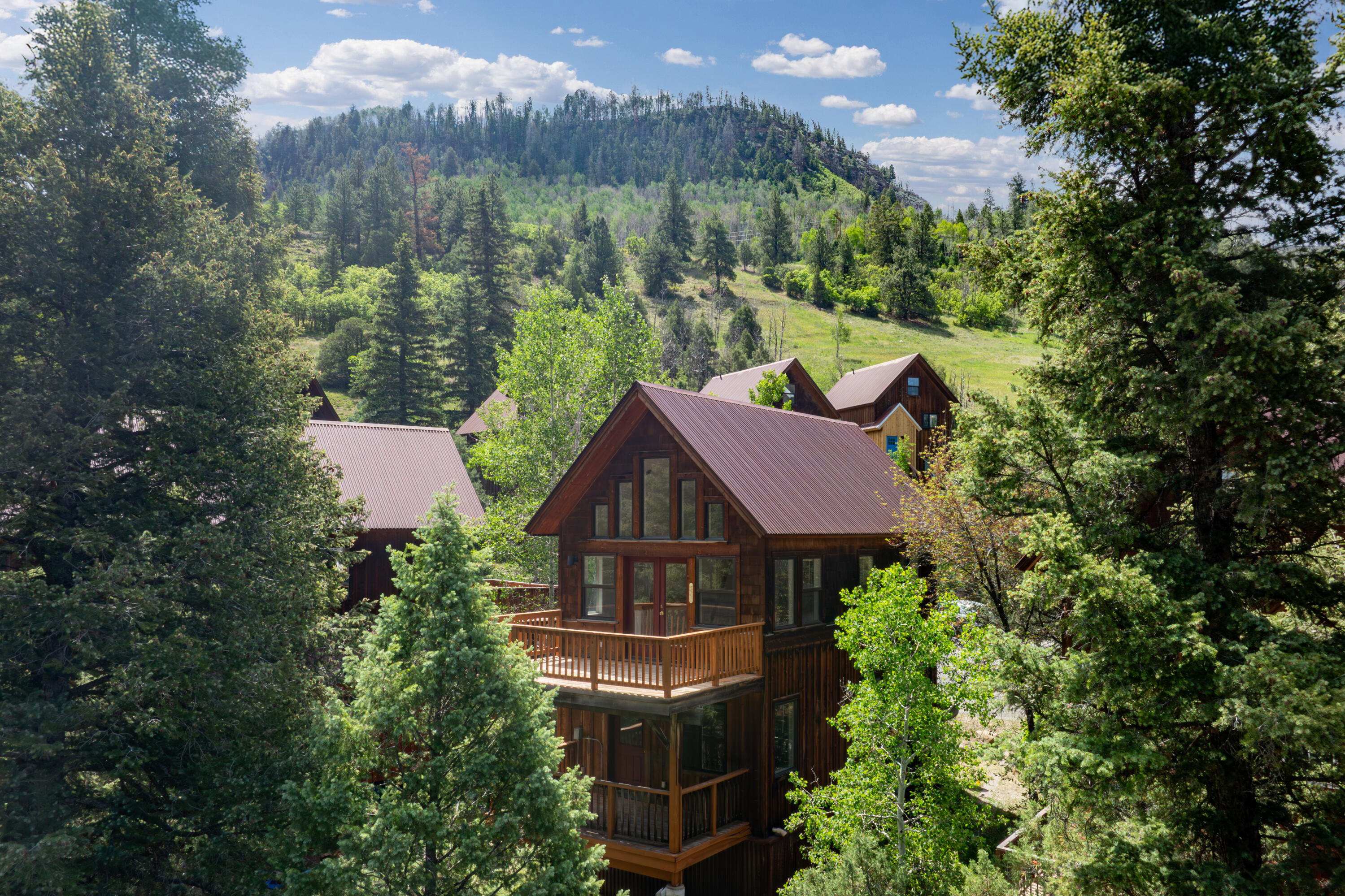 916 Two Rivers Drive Telluride, CO 81435 - Photo 1 of 10 Home