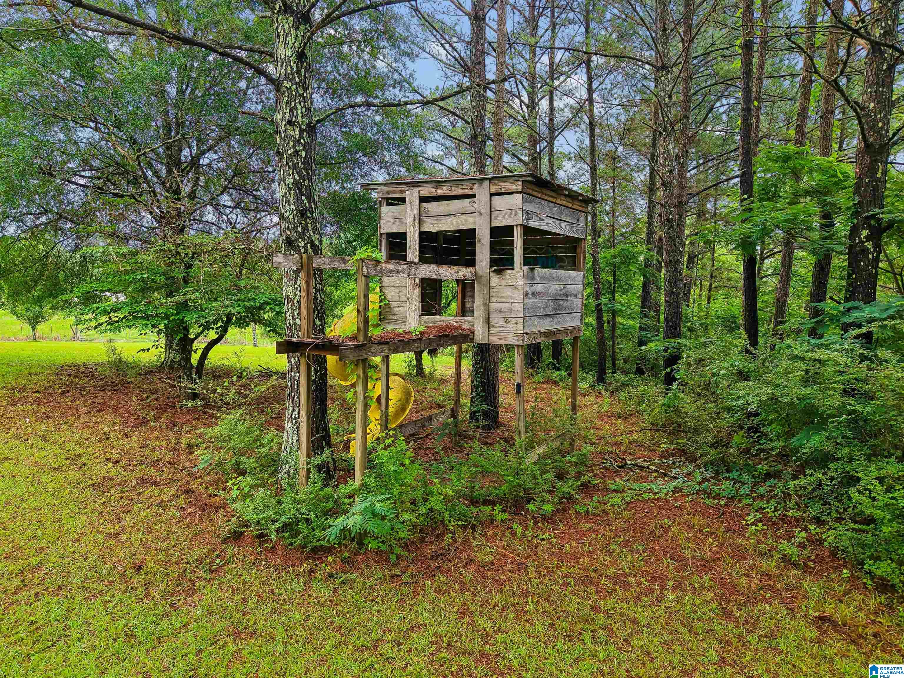 2919 Old Pineywoods Road Jasper, AL 35504 - Photo 4 of 56