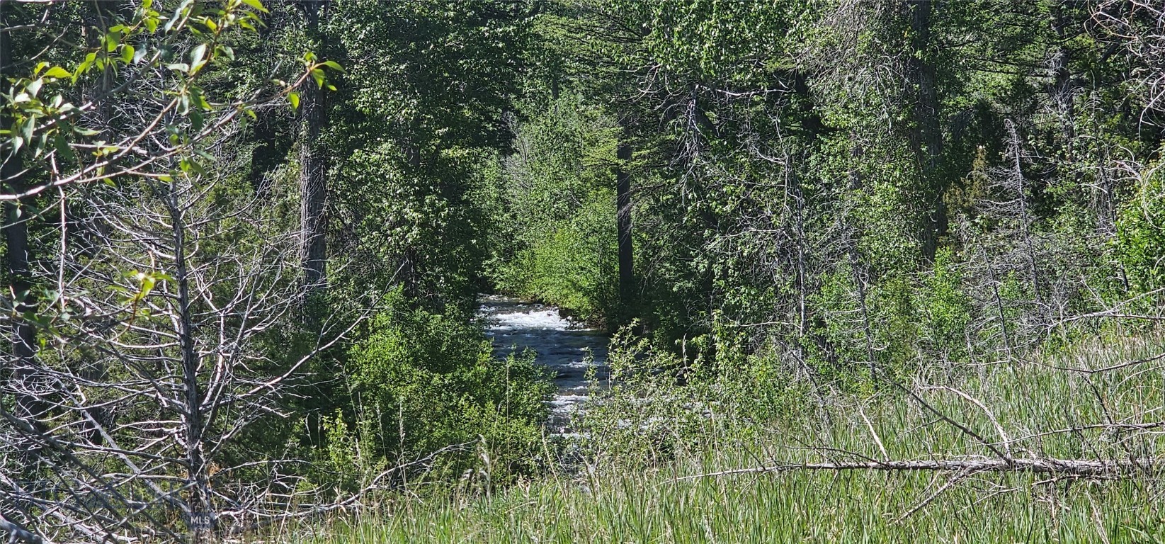 Lot 11 South Boulder Road Cardwell, MT 59721 - Photo 12 of 14 Gallery Image 12